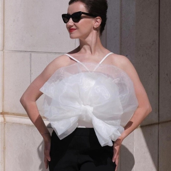 Zara organza bodysuit - Picture 2 of 9